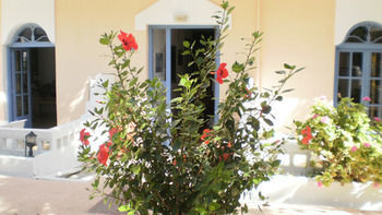 Sirena Apartments Agia Pelagia Dış mekan fotoğraf